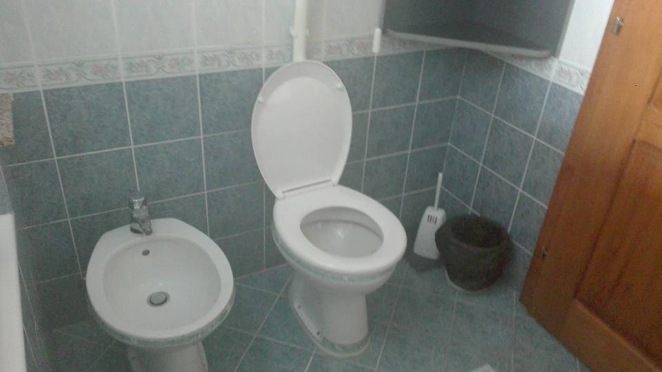 Domacinstvo Opavski バチキ・ペトロヴァツ エクステリア 写真